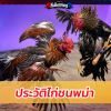 ประวัติไก่ชนพม่า