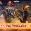 7 อันดับ ไก่ชนเงินล้าน 