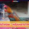 “ ป่าก๋อยลำพูน ”