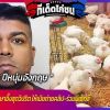 คุก 3 ปีหนุ่มอังกฤษ ข่มขืนไก่ ผู้พิพากษาอึ้งสุดวิปริต ให้เมียถ่ายคลิป-ร่วมมีเซ็ก