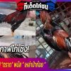 มหากาฬไก่เชิง! “ตราด” พนัส ” เหล่าป่าก๋อย “