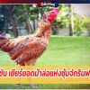 เดอะซัน เยียร์ยอดม้าล่อแห่งซุ้มจักรินฟาร์ม