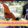 การทำวัคซีนเพื่อเตรียมพร้อมไก่พร้อมเลี้ยง