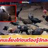 5 ข้อที่คนเลี้ยงไก่ชนต้องรู้จักลงทุน