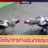 การแก้ไขไก่อาการทางประสาทขณะเข้าชน ให้กลับคืนสู่สภาพพร้อมชนต่อ