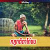 กฎกติกาในการชนไก่