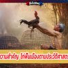 ความสำคัญ  ไก่พื้นเมืองตามประวัติศาสตร์ 