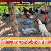 วิธีการเลี้ยงไก่ชน และ การสร้างโรงเรือน สำหรับมือใหม่