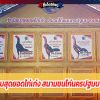 ทำเนียบสุดยอดไก่เก่ง สนามชนไก่นครปฐมบางเลน