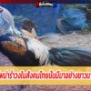 ไก่พม่ารำวง เป็นชื่อของสายพันธุ์ไก่ชนในตระกูลไก่พม่าสายพันธุ์หนึ่ง