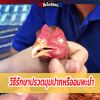 วิธีรักษาปรวดมุมปากหรืออมพะนำ