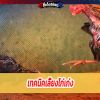 ข้อห้าม ไก่ชนที่ไม่ควรเอาออกมาชนเด็ดขาด
