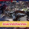 กระแสไก่ชนพม่าไม่มีตกแสดงว่าเบียดกระแสอื่นมาแรงแซงตลอด