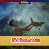 วิธีให้น้ำไก่ขณะกำลังชน