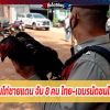 ทลายบ่อนไก่ชายแดน จับ 8 คน ไทย-เขมรนัดชนไม่สนโควิด
