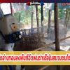ปศุสัตว์จังหวัดอ่างทองลงพื้นที่ฉีดพ่นฆ่าเชื้อในสนามชนไก่และพื้นที่เสี่ยง
