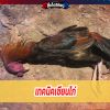 รู้ทันภัยร้าย !! “โรคบิด”