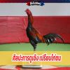 ศิลปะการดูเชิง เปรียบไก่ชน