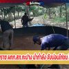 นครศรีธรรมราช ผกก.สภ.กะปาง นำกำลัง จับบ่อนไก่ชน ได้เซียน 7 คน