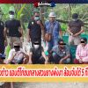 รวบนักพนันต่างด้าว แอบตีไก่ชนกลางสวนยางพังงา ล้อมจับได้ 5 ที่เหลือเผ่นเข้าป่า