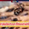 คุกสุดโหด! ผู้คุมเรือนจำเวเนฯ ตีไก่ชนบนร่างนักโทษเปลือย