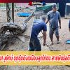 เงินแสนหายวับ! งูยักษ์ บุกซุ้มดังเขมือบลูกไก่ชน สายพันธุ์อดีตแชมป์เกลี้ยง