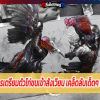 เทคนิคการเตรียมตัวไก่ชนเข้าสังเวียน เคล็ดลับเด็ดๆ ของไก่ชน