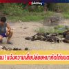 ร.ต.อ.สุดทนแจ้งความเสี่ยปล่อยหมากัดไก่ชนตายเกลื่อน