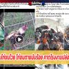 เจ้าของซุ้มไก่ชนโวย ไก่ชนตายนับร้อย คาดโรงงานปล่อยสารพิษ