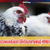 รัสเซียพบผู้ติดเชื้อไข้หวัดนก 