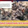 เจ้าของไก่ชนปราจีนสุดเศร้า โดนสุนัขขย้ำไก่ชนตายเกือบ 100 ตัว 