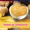 สรรพคุณ และ ประโยชน์ของขิง