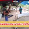 บุกจับบ่อนพนันไก่ชนนครพนม อ้างแค่หารายได้เสริมช่วงโควิด