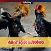 ศิลปะการดูเชิง เปรียบไก่ชน