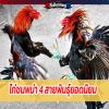 ไก่ชนพม่า 4 สายพันธุ์ยอดนิยม