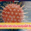 สระบุรี ผวาคลัสเตอร์ใหม่! พนักงานโรงงานแปรรูปเนื้อไก่ ติดโควิด245ราย