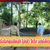 ชาวบ้านสุดทน แจ้งจับกลุ่มเซียนไก่ ไม่กลัว 'โควิด' แต่ยังไหวตัวหนีไปได้