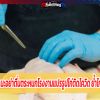 กรมอนามัย แนะอย่าตื่นตระหนกโรงงานแปรรูปไก่ติดโควิด ย้ำไก่ปรุงสุกกินได้