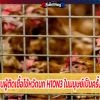 จีนพบผู้ติดเชื้อไข้หวัดนก H10N3 ในมนุษย์เป็นครั้งแรก