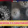 ลพบุรี ตรวจเจอผู้ป่วยโควิดเพิ่ม 16 ราย ส่วนใหญ่จากคลัสเตอร์โรงงานไก่สระบุรี