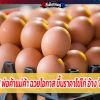 ไข่ราคาพุ่ง! พ่อค้าแม่ค้า ฉวยโอกาส ขึ้นราคาไข่ไก่ อ้าง 'โควิด' ระบาด