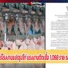 ช็อก! คลัสเตอร์โรงงานแปรรูปไก่ แรงงานติดเชื้อ 1,068 ราย รอผลอีก 4 พัน