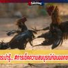 สาระน่ารู้.... #การเช็คความสมบูรณ์ก่อนออกชน