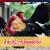 สาระน่ารู้....การโหนคอไก่ชน 