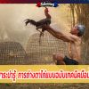 สาระน่ารู้  การถ่างตาไก่แบบฉบับเทคนิคมือน้ำ