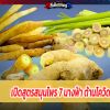 เปิดสูตรสมุนไพร 7 นางฟ้า ต้านโควิด