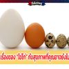 เรื่องของ “ไข่ไก่” กับสุขภาพที่คุณอาจยังไม่รู้