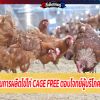 ซีพีเอฟ เพิ่มการผลิตไข่ไก่ Cage Free ตอบโจทย์ผู้บริโภคใส่ใจสุขภาพ-เป็นมิตรต่อสิ่