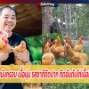 ‘ไก่เบตง’ หนังกรอบ เนื้อนุ่ม รสชาติติดปาก ติดอันดับไก่เนื้อที่แพงที่สุด