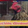 สาระน่ารู้.. #วิธีรักษาเลือดลงแข้ง